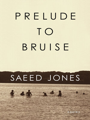 cover image of Prelude to Bruise